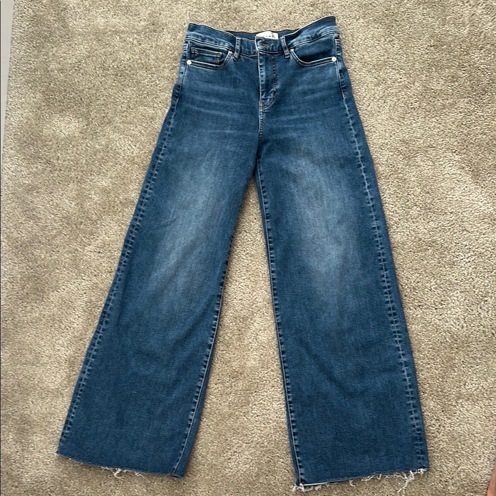 Frame Le Slim Palazzo Denim